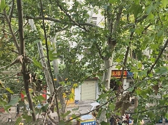 香蕉宿設計酒店（龍華民治店）優惠