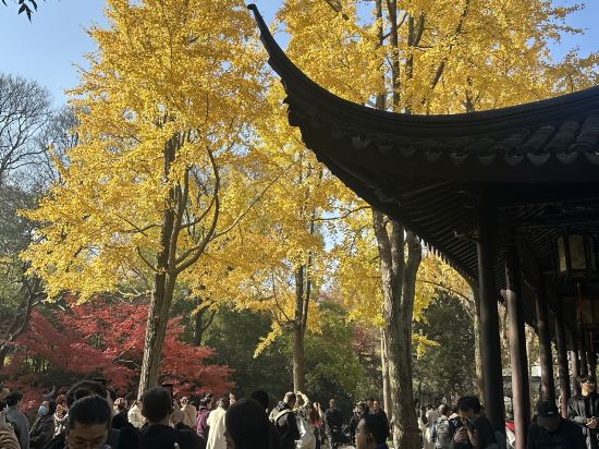 蘇州·璞宿飯店（觀前街拙政園店）優惠