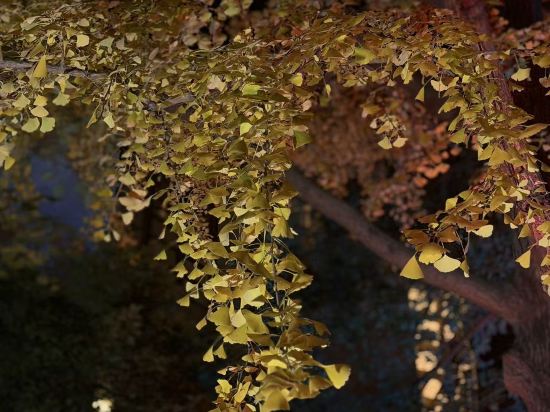 天目湖御水温泉度假酒店優惠