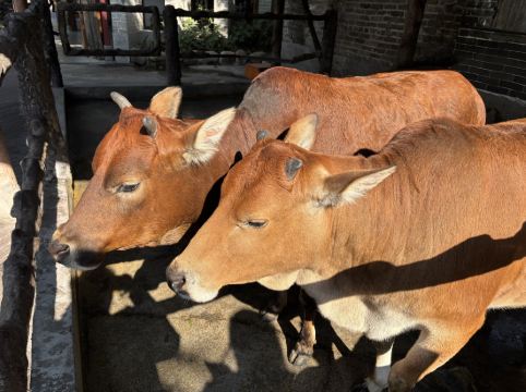 珠海御温泉度假村優惠