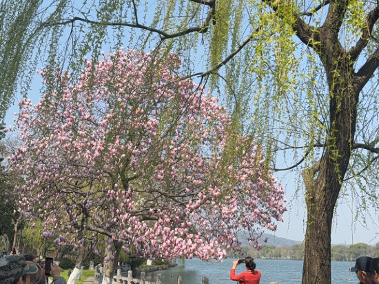杭州西湖國賓館·西湖第一名園優惠