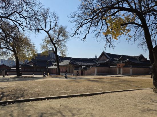 명동멀린호텔 쿠폰