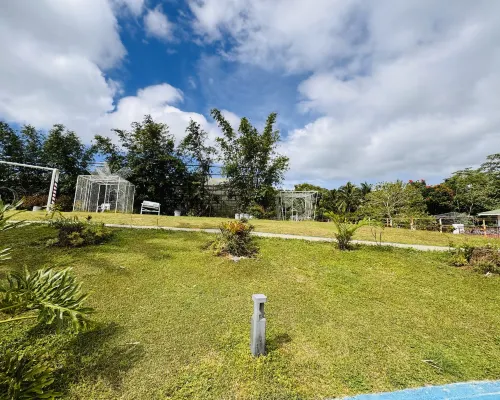 Forest Crest Nature Hotel and Resort In der Nähe des Hotels Photos