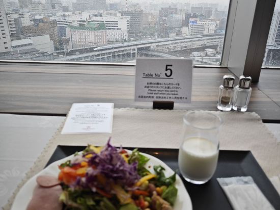 岡山全日空皇冠假日飯店優惠