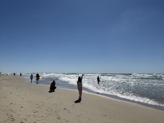 黃金海岸海島度假村優惠