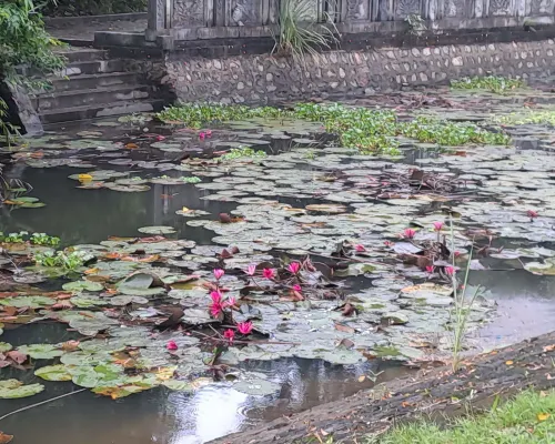 Tam Coc Central Bungalow-Ninh Binh In der Nähe des Hotels Photos