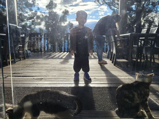 南投清境空中花園優惠