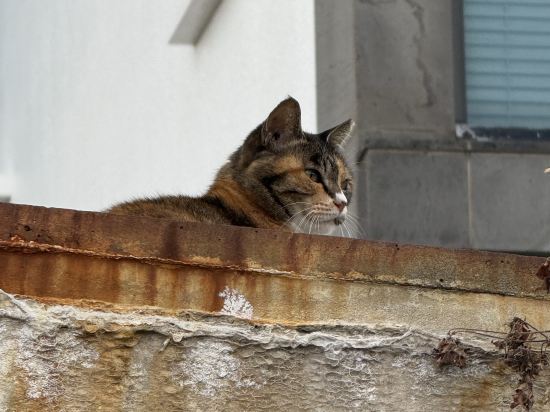濟州偶來路民宿優惠
