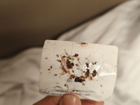 台北西門窩青年旅館優惠