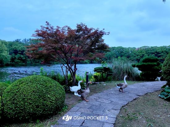 上海西郊賓館優惠