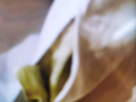 雅悅精選飯店（南京路步行街店）優惠