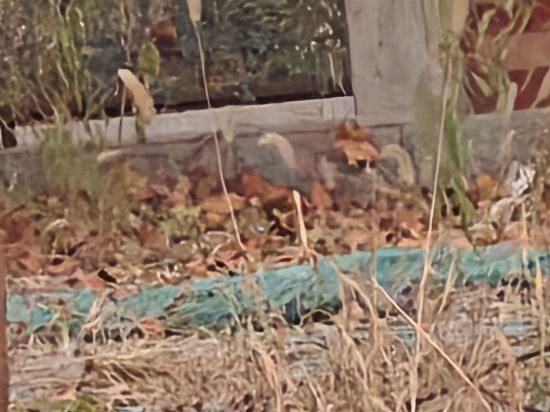 映向城酒店（北京通州萬達廣場店）優惠