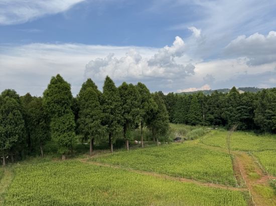 新興雲浮雅途酒店優惠