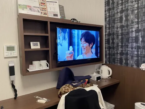 KOKO HOTEL Himeji Castle(formerly Hotel Wing Himeji） Photos