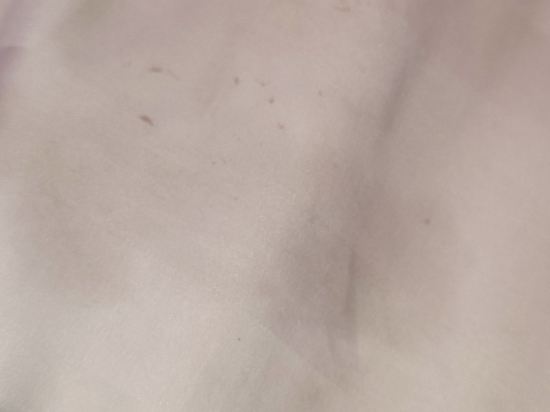 阿媽羅薩豪華酒店優惠