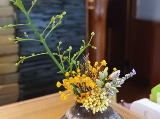 南投清境頂代格拉斯莊園優惠