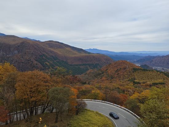 ホテルルートイン宇都宮ゆいの杜 クーポン