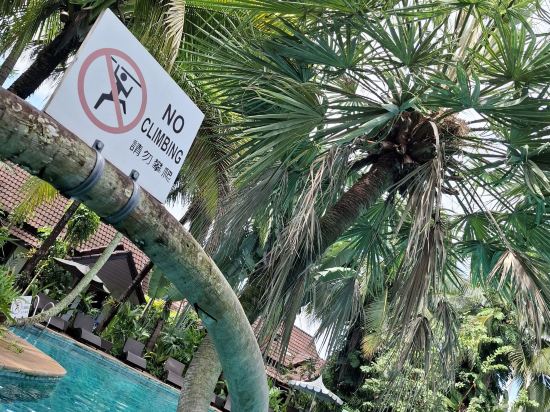 清萊拉努納度假飯店優惠