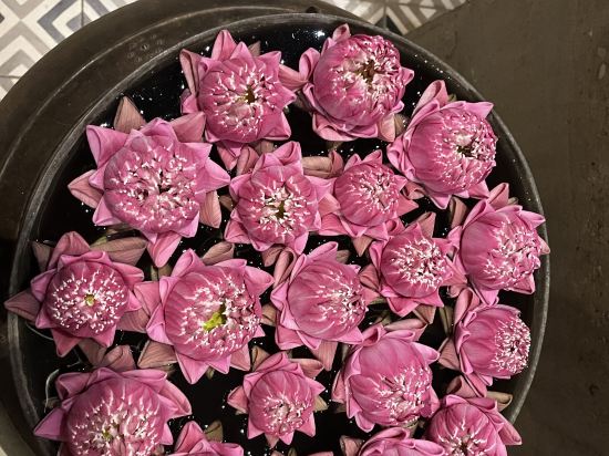 梅塔住宅及Spa飯店優惠