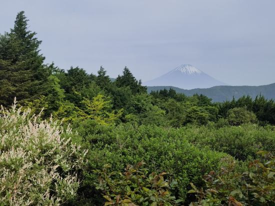 ホテルグリーンプラザ箱根 クーポン