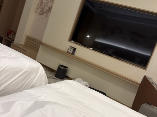 莎阿南馬爾地亞套房飯店優惠