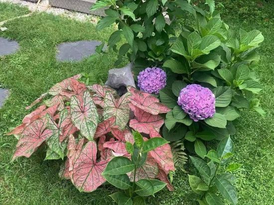 如南里民宿（潮州古城牌坊街店）優惠