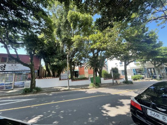 백패커스홈 쿠폰