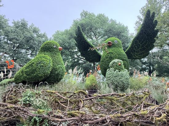 杭州君悦酒店優惠