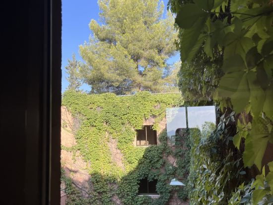 阿里薩若斯波塞爾優惠