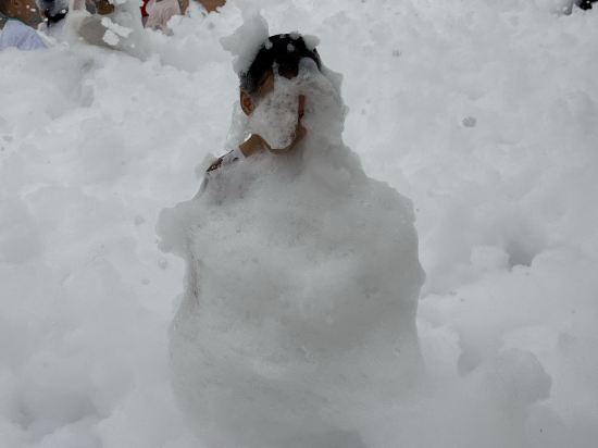 珠海橫琴星樂度露營小鎮優惠