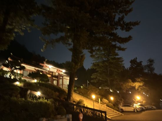 춘천 세종호텔 쿠폰