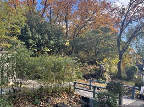 八幡野温泉郷 杜の湯 きらの里 クーポン