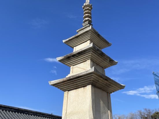 한화리조트 경주 쿠폰
