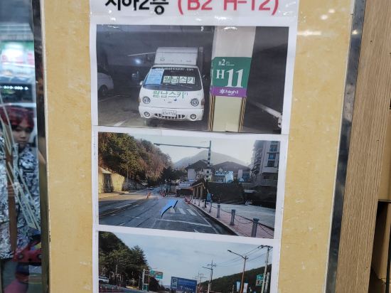 마이애미정선호텔 쿠폰
