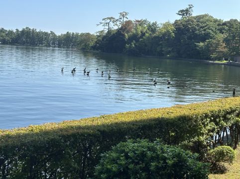 天橋立ホテル クーポン