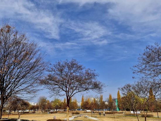 麻浦新羅舒泰飯店 （弘大）優惠