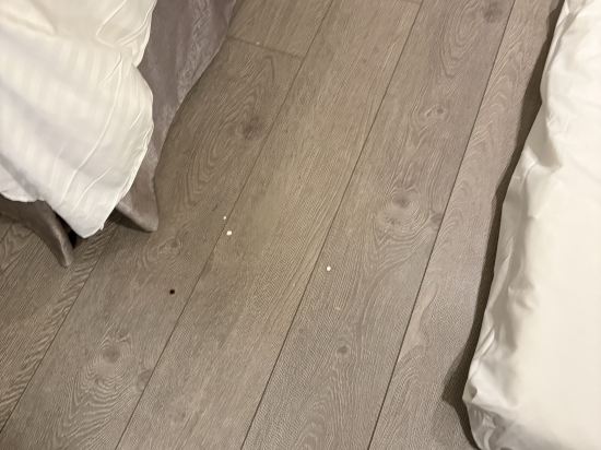 嘉義仁義湖岸大酒店優惠
