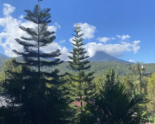 Edy Homestay Dekat Hotel Photos