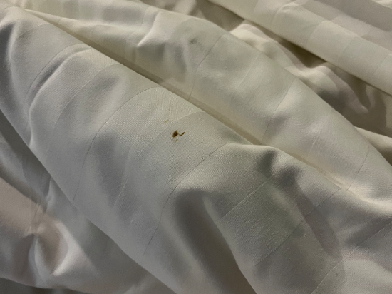 羅克西公寓酒店優惠