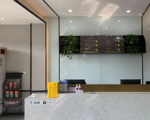 7 Days Premium Hotel (Chongqing North Railway Station) الأماكن العامة Photos