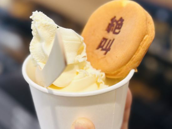 MYSTAYS 富士山展望温泉酒店優惠