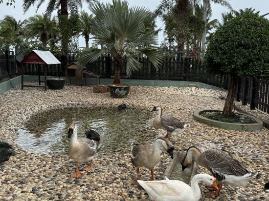 海口萬豪酒店優惠