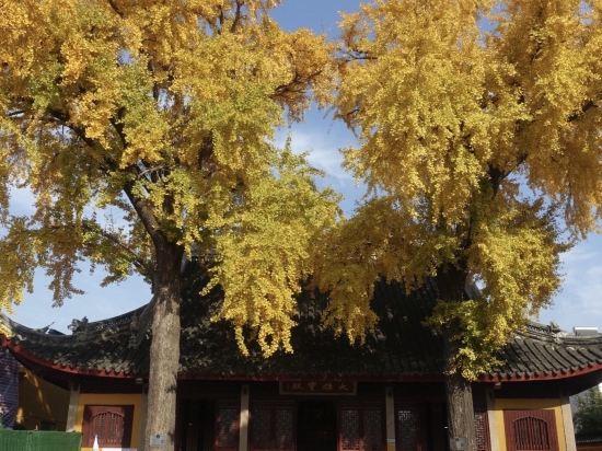 扉縵酒店（蘇州大學觀前街平江路店）優惠