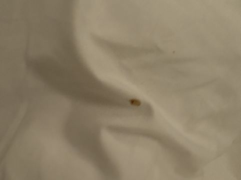 香港富薈灣仔酒店優惠