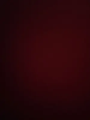 Hotel Safin Pati Photos