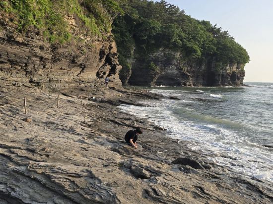 소노벨 변산(구 대명리조트 변산) 쿠폰