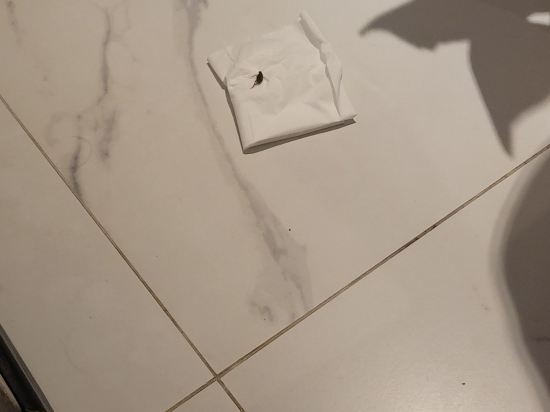 호텔 인피니 쿠폰