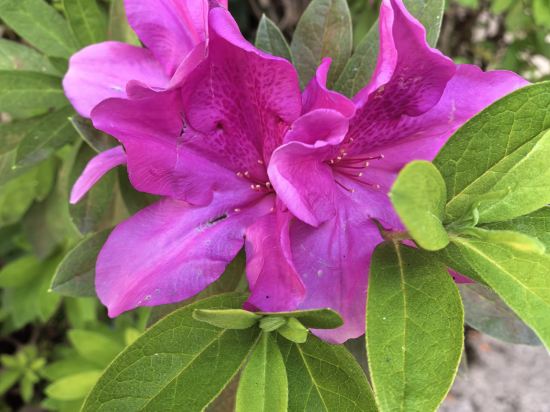 一家經濟飯店優惠