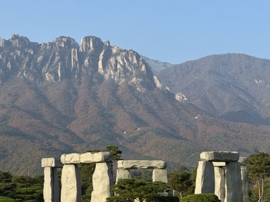 소노펠리체 델피노 고성 쿠폰