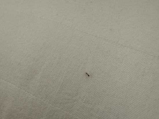 惠特菲爾德吉隆坡白金套房飯店2優惠